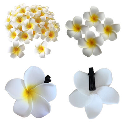 Frangipani Hair Clip with Various Designs for Your Assessory Collection